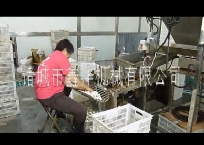 剝皮機(jī)的出廠(chǎng)前試用